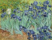 Vincent Van Gogh Irises USA oil painting artist